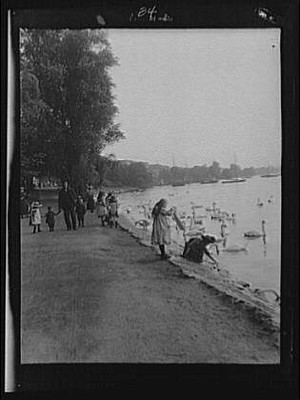 Travel views,water bodies,swans,birds,paths,nitrates,Europe,Arnold Genthe,1904
