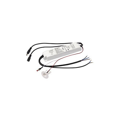 Saxby Lighting EM-Set Standard & Selbsttest 2-in-1 Notbeleuchtungsset 20-55V