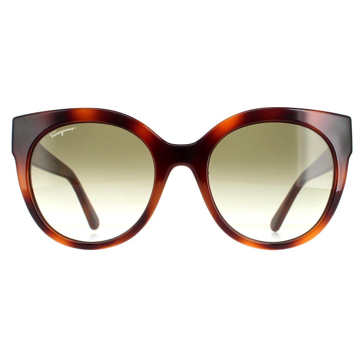 Salvatore Ferragamo Sunglasses SF1031S-214-53 New with tags SF 1031S 214 53mm Womens Cat Eye Sunglasses – Bluefly main image 4