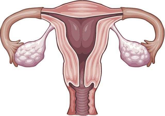 Retard de règles ? Séance de magnétisme pour déclencher le cycle menstruel et apaiser le corps