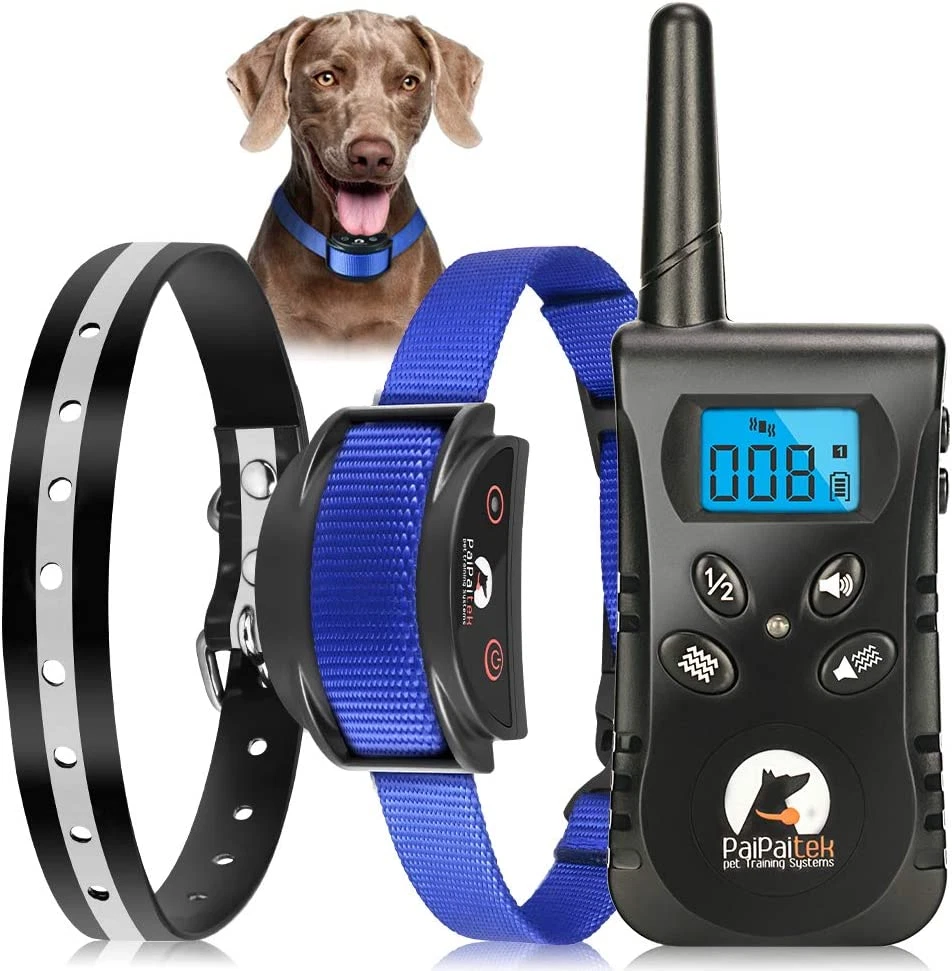 Shock collar top for puppy