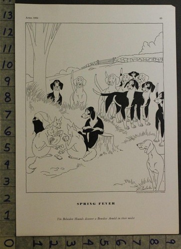 1935 BELVIDERE HOUNDS SPORT FOX HUNT DOG TRAITOR DT CARLISLE CARTOON ART 30215 - 第 1/1 張圖片