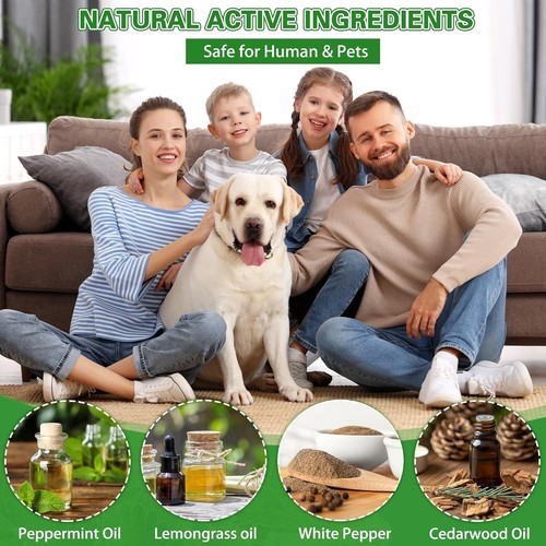 Rodent Mouse Repellent, 36 PCS Natural Rat Mice Repellant Indoor, Peppermint Oil - Bild 2 von 8