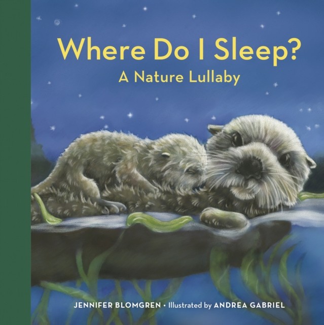Where Do I Sleep? A Nature Lullaby by Jennifer Blomgren (Board book)