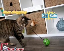 zany cat toy