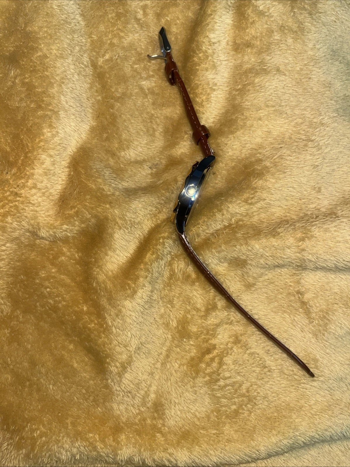 Picture 5 of 5