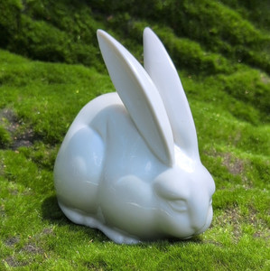 Japan Rabbit | eBay