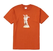 Supreme SS19 Cupid Tee Rust Size M Box Logo Bogo