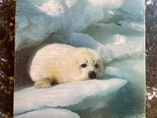 VTG Springbok 500 Piece Puzzle - FURRY - Seal Pup 1978 COMPLETE