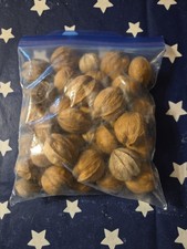 Shagbark Hickory Nuts