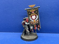 Primaris Ancient der Raven Guard GUT BEMALT