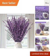 Dried Lavender Flowers Bundle-Dried Preserved Lavender Bouquet 15-17" for Sho...