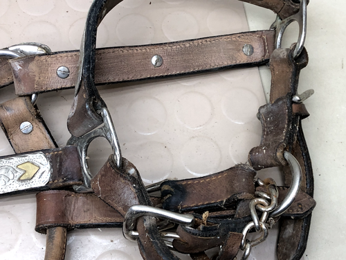 Vintage Leather Horse Bridle Silver & Brass - Picture 2 of 17