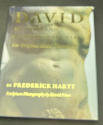 David by the Hand of Michelangelo