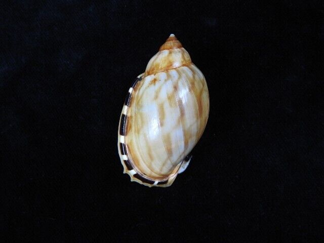 Picture 1 of 3