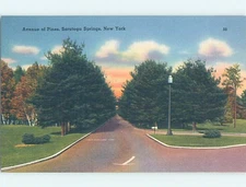 Linen AVENUE OF PINES Saratoga Springs New York NY o/19 AD6718