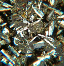 Thin-section Mount from DSDP Hole 167 Petrographic Microscope Slide 17-167-94-3