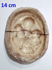 Formella antica per mostarda cotognata forma in ceramica di Caltagirone