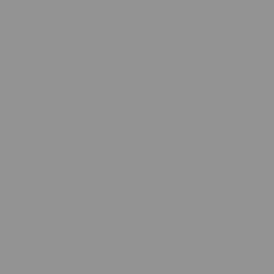Fassadenfarbe Hausfarbe Sockelfarbe Silikonharzfarbe Lotus Nano RAL bunt 1L/2L