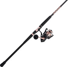 Passion II Spinning Reel and Fishing Rod Combo