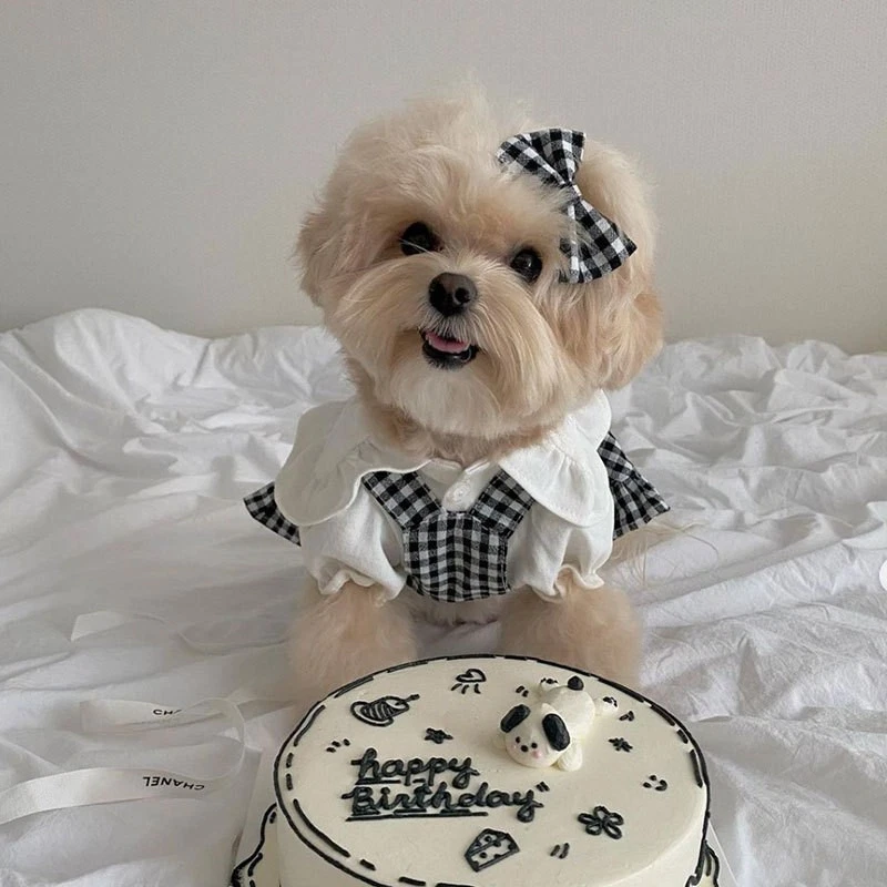 3pcs Cute Pet Clothes Set (S) - Plaid Print Dress, Ruffle Trim Hat & White Shirt - Image 4 of 4