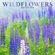 Wildflowers | 2026 12x24" (Hanging) Monthly Square Wall Calendar