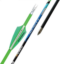 Pandarus Infinity Target Arrow 12 Arrows