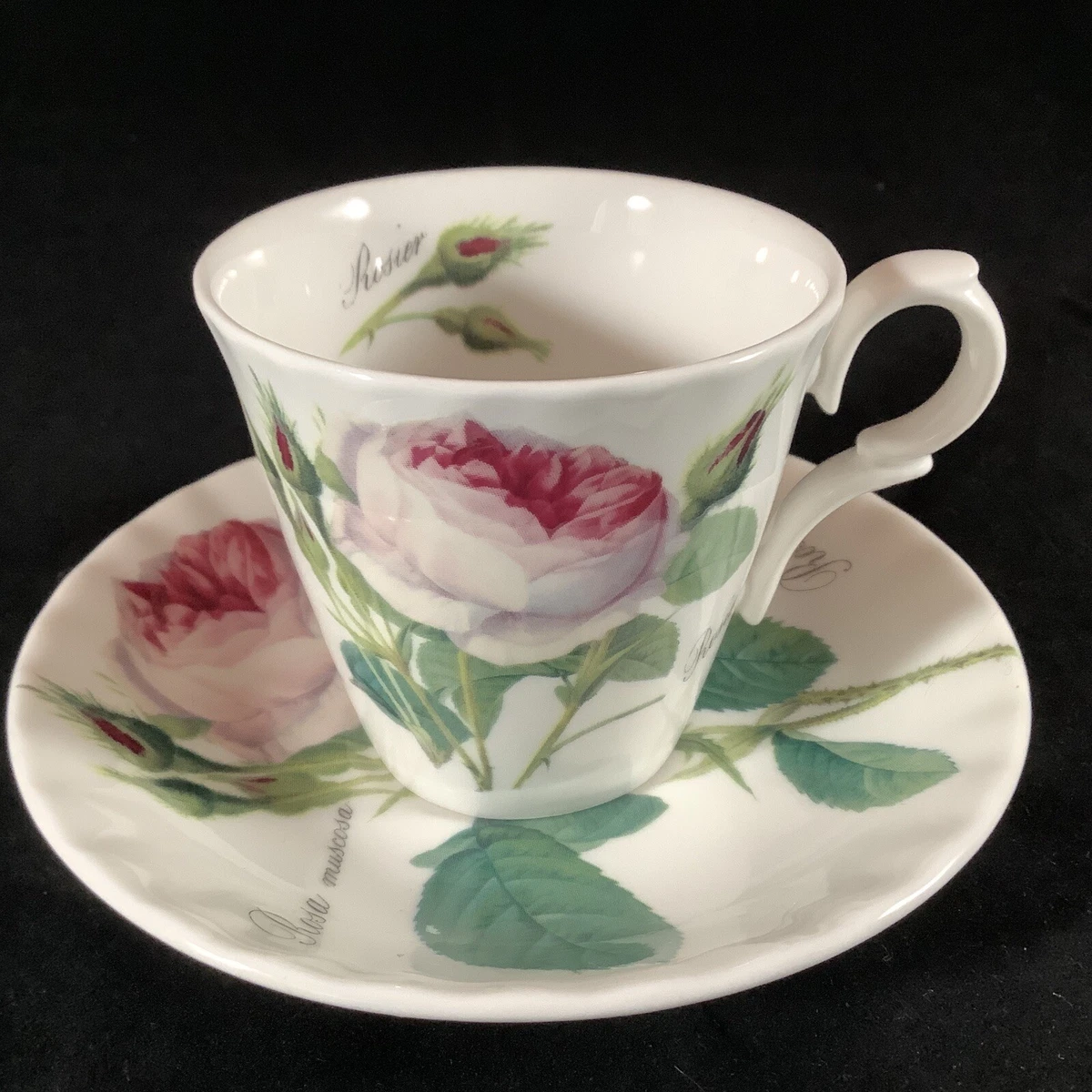 Vintage 1996 Roy Kirkham Redoute Roses Tea Cup & Saucer