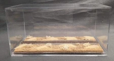 Z SCALE - SINGLE TRACK 8" - DISPLAY CASE -"DESERT  SCENE" FOR ANY Z TRAIN