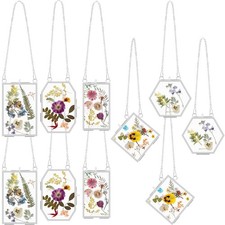 10 Pcs Glass Frame for Pressed Flowers 5 Different Shapes Brass Hanging Pictu...