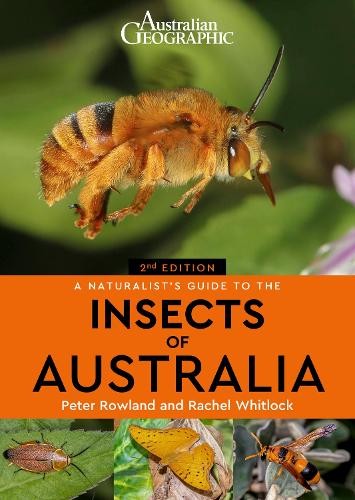 A Naturalist's Guide to the Insects of Australia by Peter Row... - 9781913679262