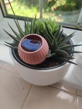 Efekt terakoty Samonawadniający się kolc Wewnętrzna doniczka na rośliny Opakowanie 4 szt. Nowy design 