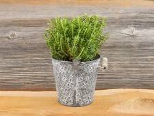 Eimer Kübel Metall Deko Pflanztopf Windlicht Sommer Garten Blumentopf Blumen