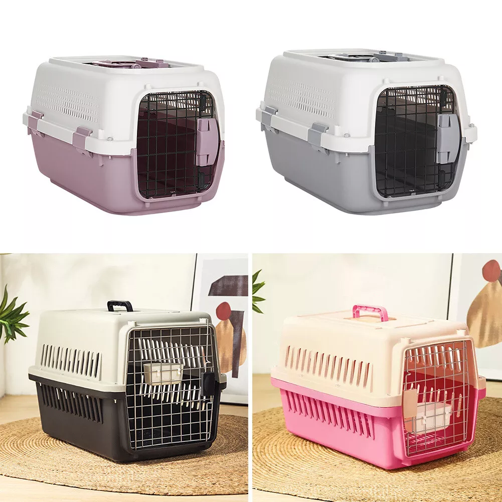 Shipping puppies hotsell by air safe