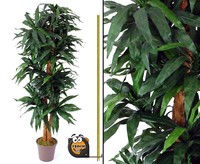 Dracena Kunstpflanze Mit 210 Textilfaser BläTtern GrüN 150Cm Hoch 2 NaturstäMme