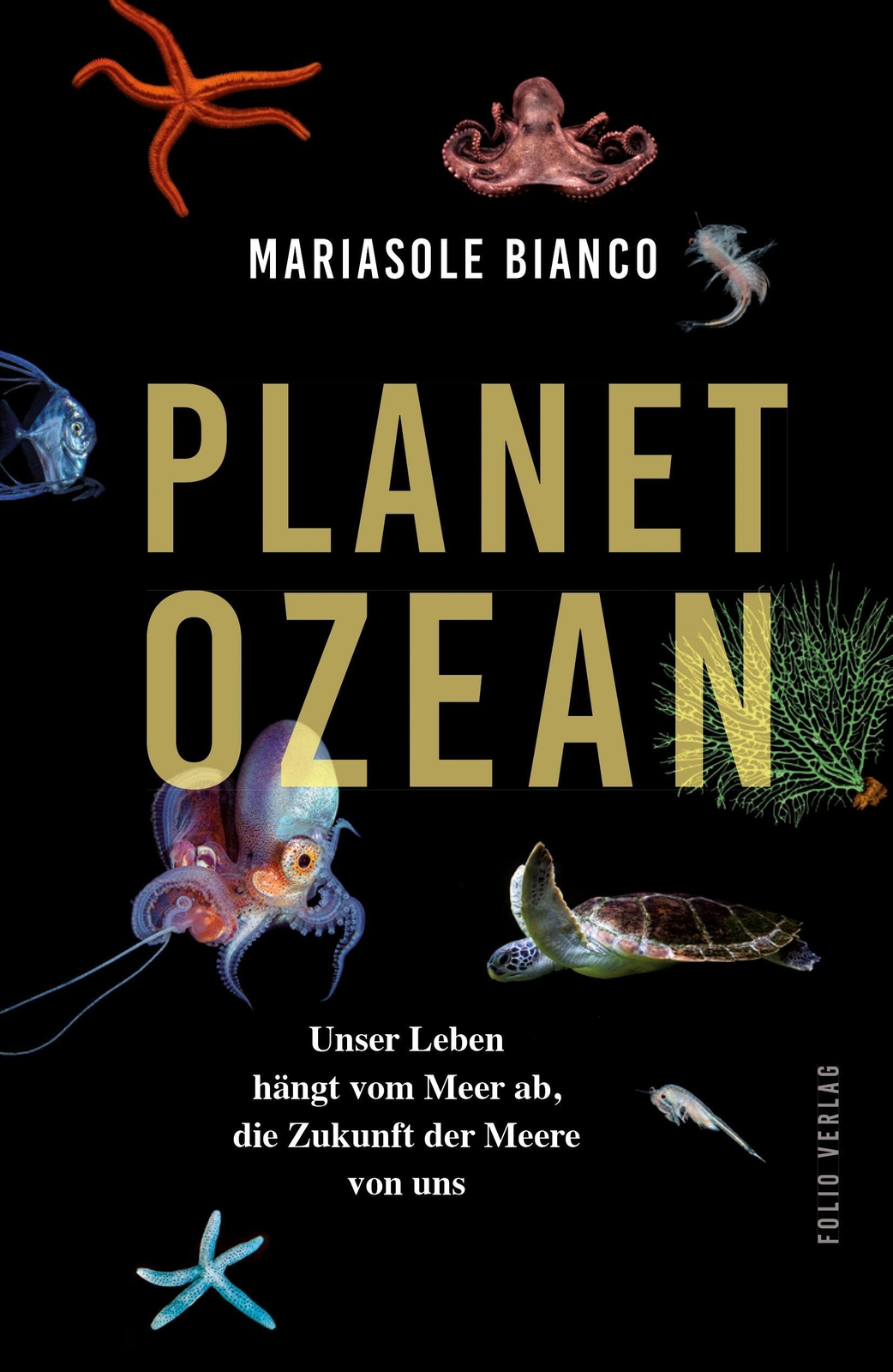 Thumbnail - Planet Ozean Unser Leben Hängt Vom Meer Ab, Die Zukunft Der Meere Von