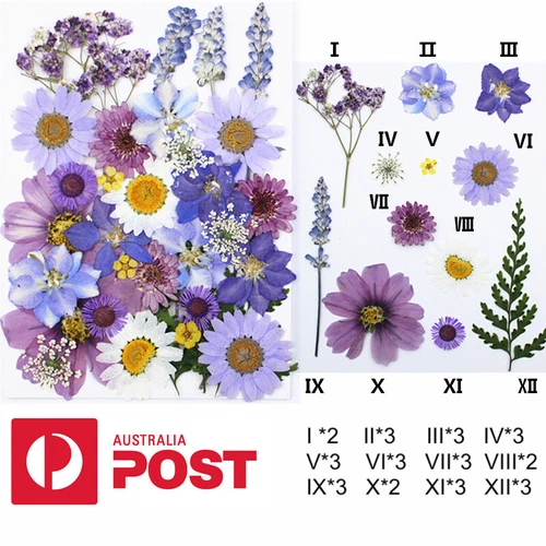 Dried Pressed Flowers Natural Epoxy Resin Candle Nail Art Scrapbooking Craft AU - Picture 3 of 210