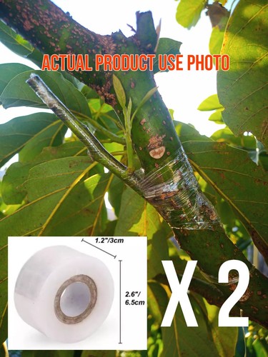 Grafting Tape Stretchable 2 X 100m Horticulture Self-adhesive Film For Nursery - Picture 1 of 6