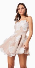 Elliatt Dahlia 3D Floral Sequin Mini Dress Hens Bridal Party Size XL