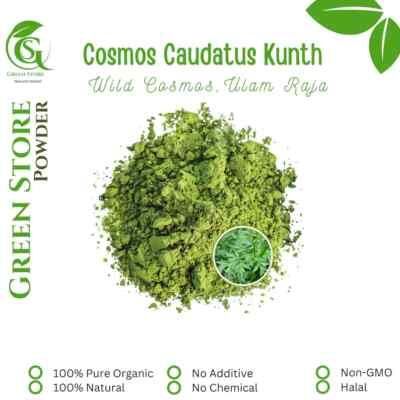 Organic Pure Powder Of Wild Cosmos Ulam Raja (Cosmos Caudatus Kunth )