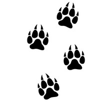 Wolf Tracks Decals Sticker Hunting - Several Colors And Sizes Available 03