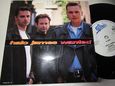 Halo James   Wanted Epic HALO 5 1990 Picture Sleeve UK Vinyl 7inch Single