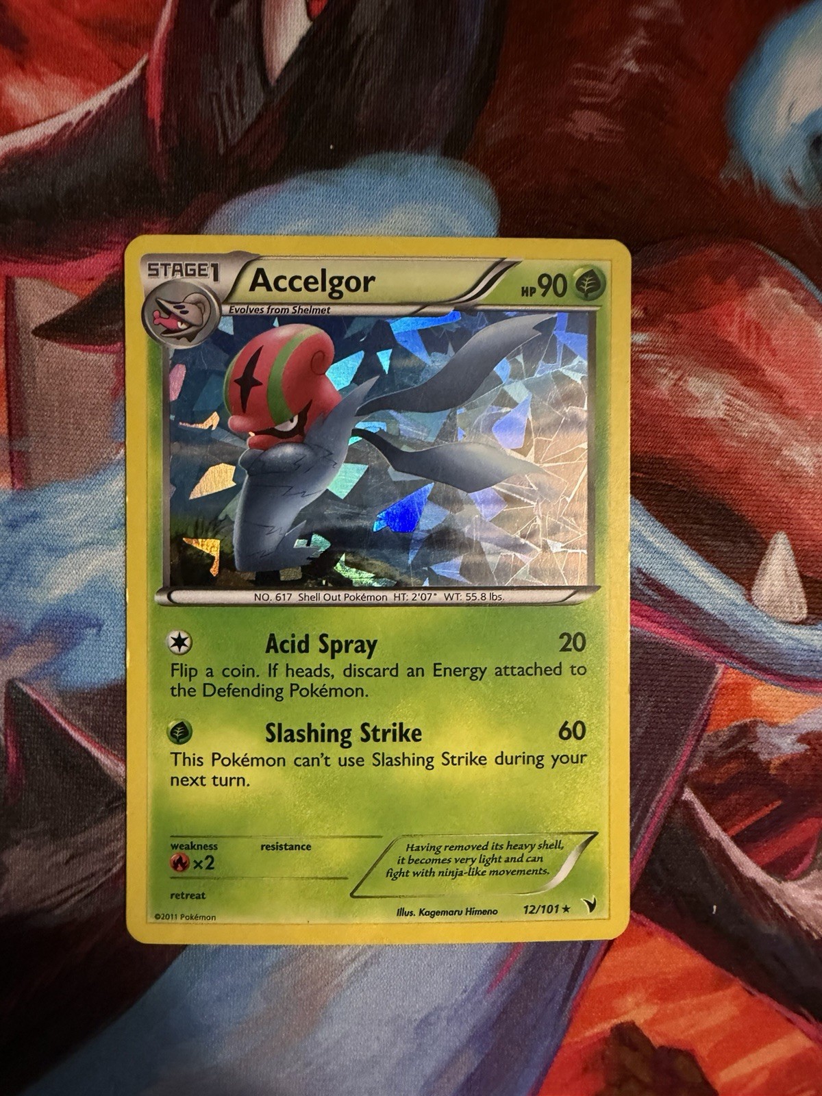 Accelgor - (Cracked Ice Holo) 012/101 Deck Exclusives Holo LP