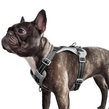 No-Pull Dog Harness, Fully Reflective Vest with 2 Leash Clips, No-Choke, Adju...