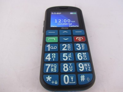 EIN ULEWAY G180 BIG BUTTON ALLE 2G NETZE DUAL SIM HANDY