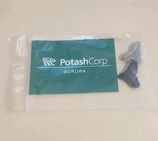 Shark Teeth Potash Corporation