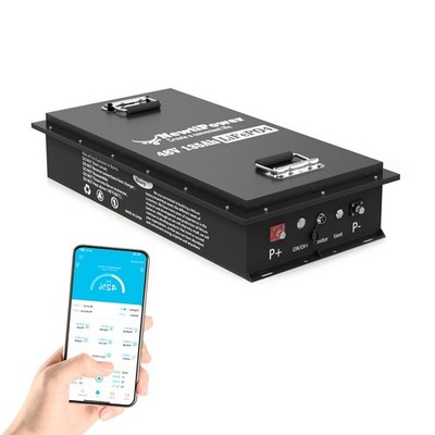 NewtiPower 48V 135Ah Golf Cart LiFePO4 Lithium Battery Metal Case 200A BMS Solar