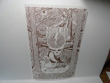  on The Hot Collector