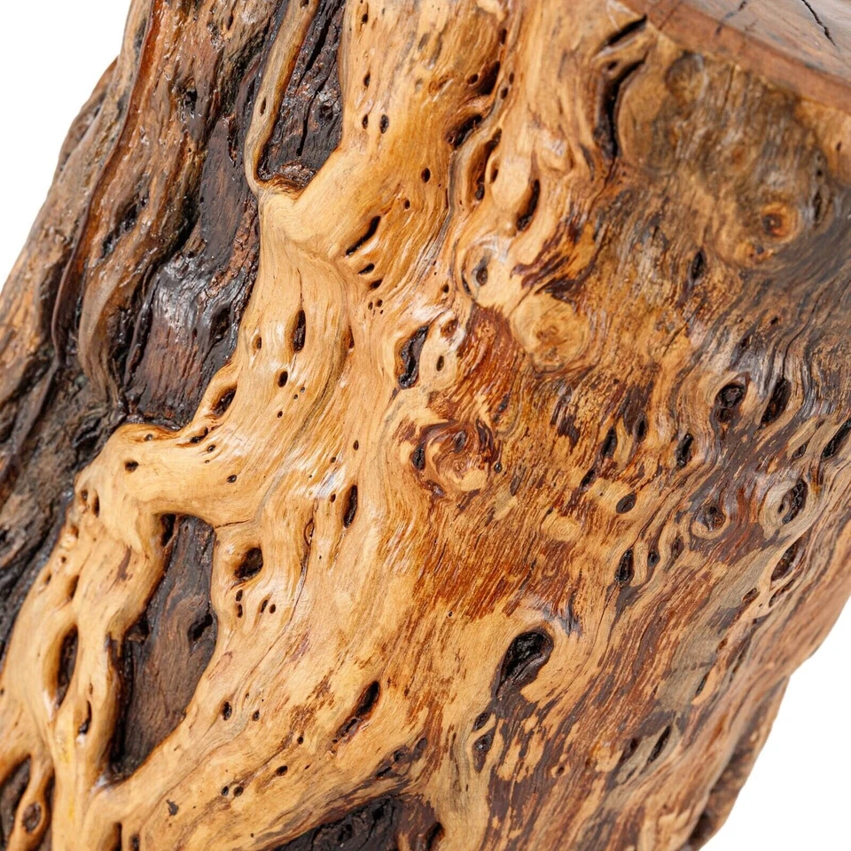 Taburete de tocón de tronco de árbol natural con borde vivo madera maciza soporte para plantas mesa de acento Foto 4 de 4