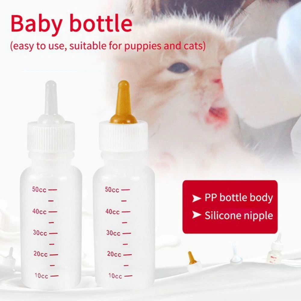 Kitten bottle feeding supplies cheap
